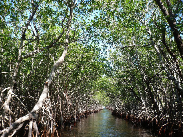 Everglades nationalpark