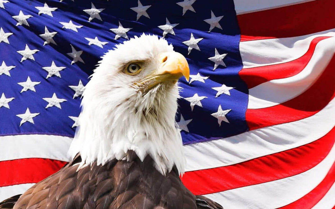 Första gången till USA