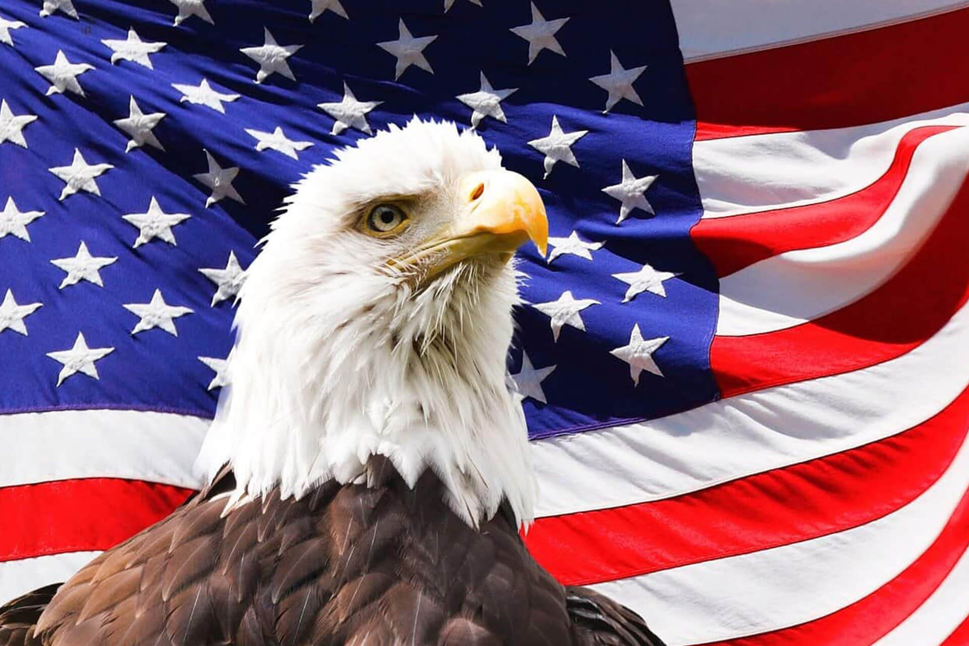 USA:s flagga och en havsörn.