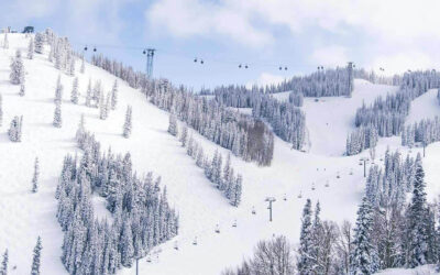 Saker att göra i Aspen i Colorado