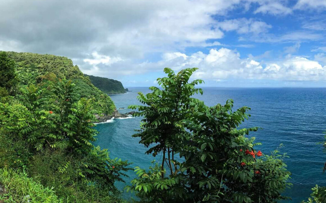 Hawaii – En dröm för alla reseälskare