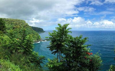 Hawaii – En dröm för alla reseälskare