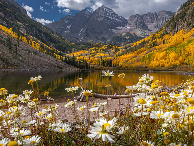 Marron-bells-aspen Marron Bells