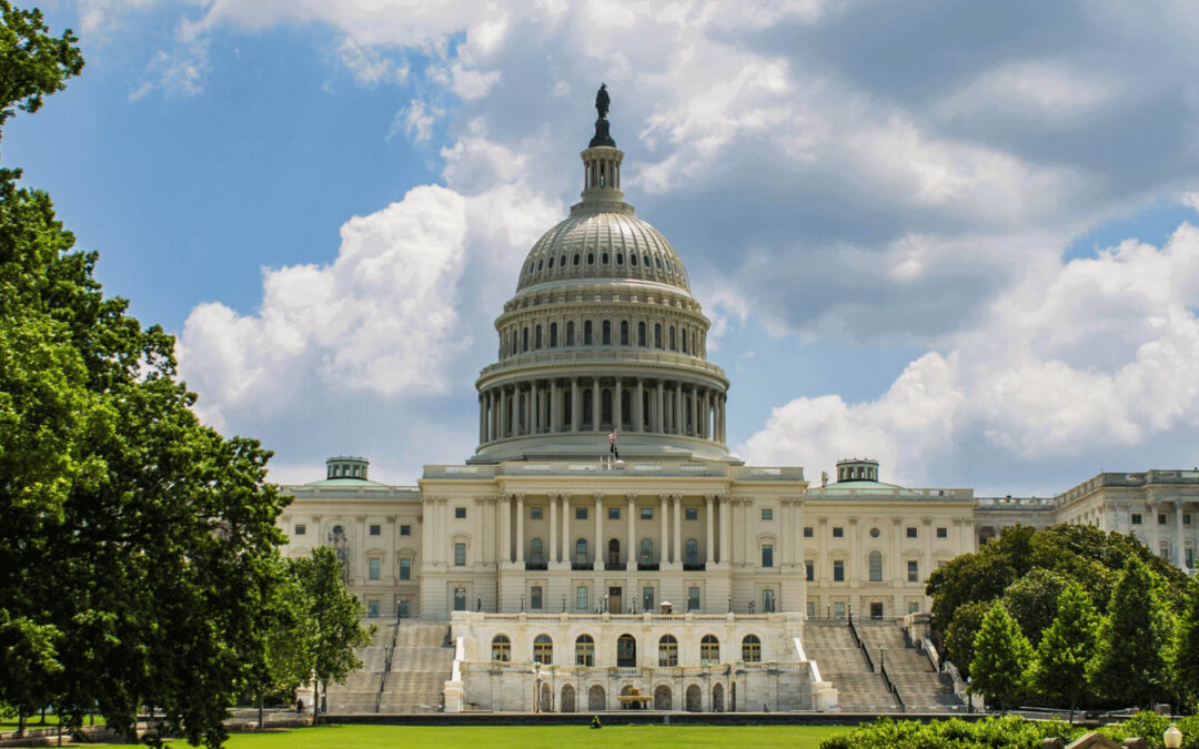 Vi skräddarsyr resor till Washington D.C